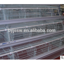 Design Layer Chicken Cage con sistema automático (3 capas)